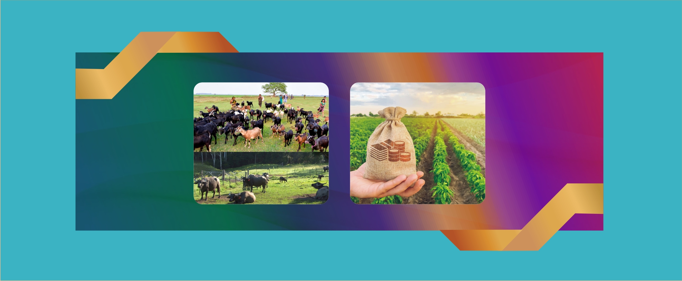 Banner_3_home_page_top